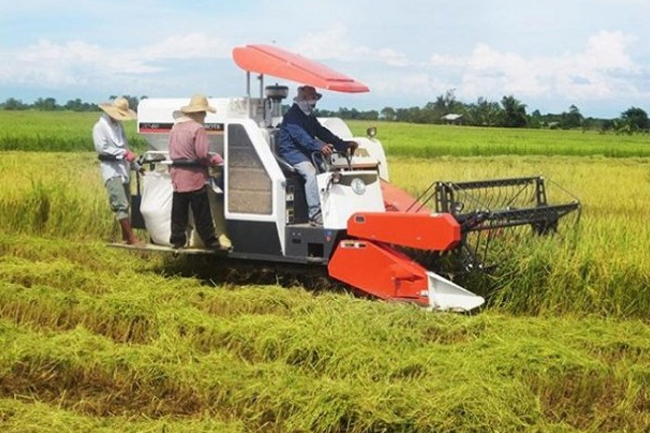 Menantang Kaum Petani Berbenah Diri