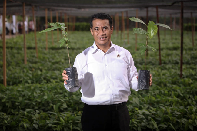Program BUN500 Untuk Genjot Produksi Perkebunan