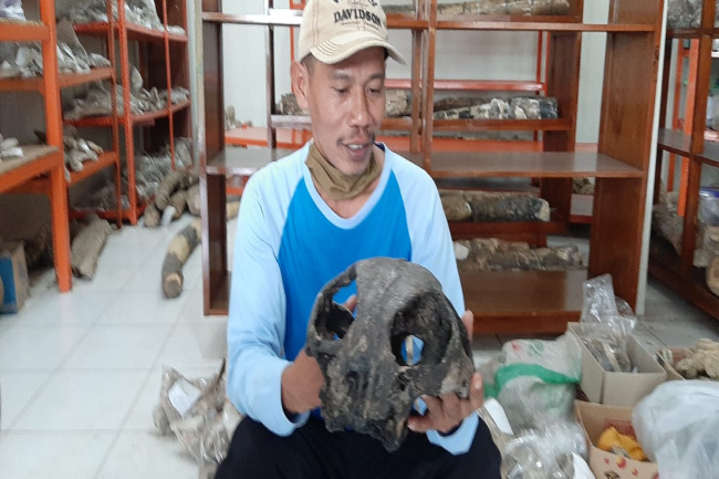 Fosil Purba Bicara Harga