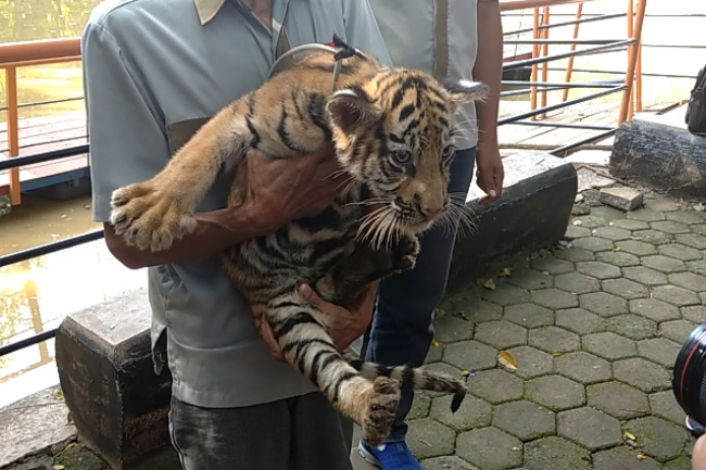 Waspada Jebakan Dilarang Tergoda