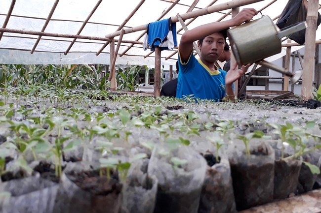 Kitab Kuning Beres Agroindustri Yes