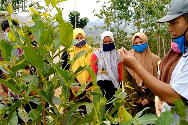 Fasih Mengaji Lihai Bertani